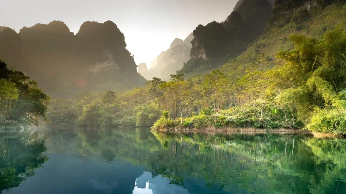 全自动智能系统高端
